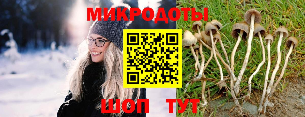 Галлюциногенные грибы Psilocybe  Галлюциногенные грибы Magic Shrooms  Нефтекумск  сколько стоит  Вход с VPN 
